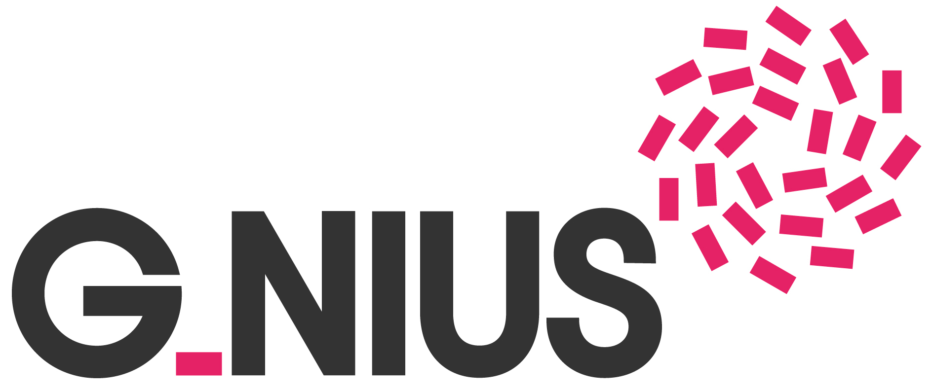 G_NIUS : Formulaire de Signalement d'Erreurs et de demande de Mises à Jour